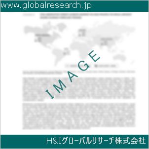 グローバルリサーチ調査資料のイメージ